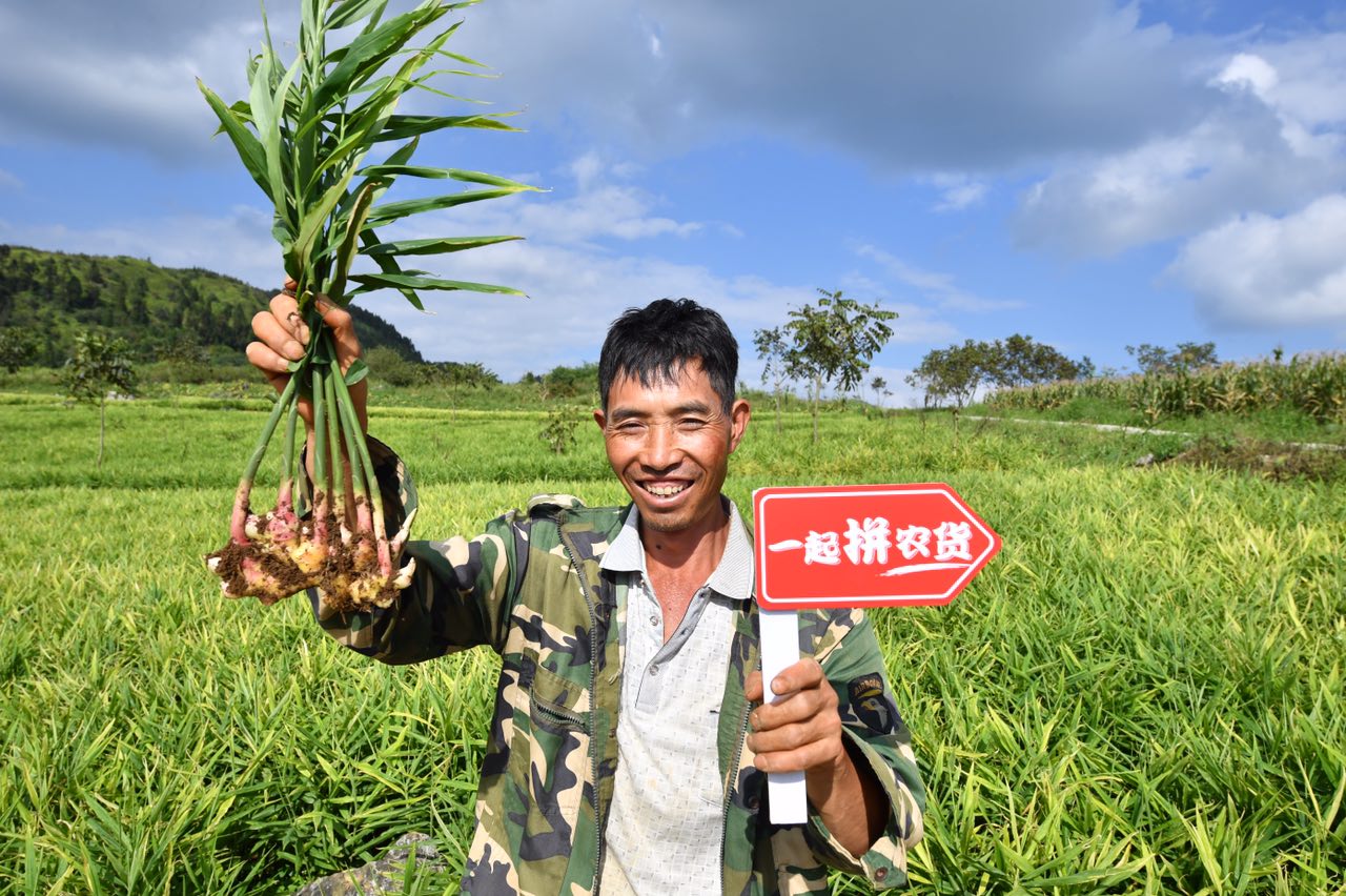 Trung Quốc đang đẩy mạnh nghiên cứu Agritech (công nghệ nông nghiệp) để bảo vệ nguồn cung cấp lương thực tại quốc gia đông dân nhất thế giới. Ảnh: @AFP.