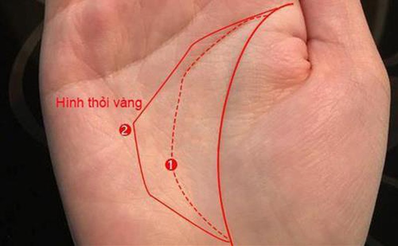 4 đường chỉ tay dự báo chủ nhân đặc biệt: May mắn lắm mới có! - Ảnh 2.