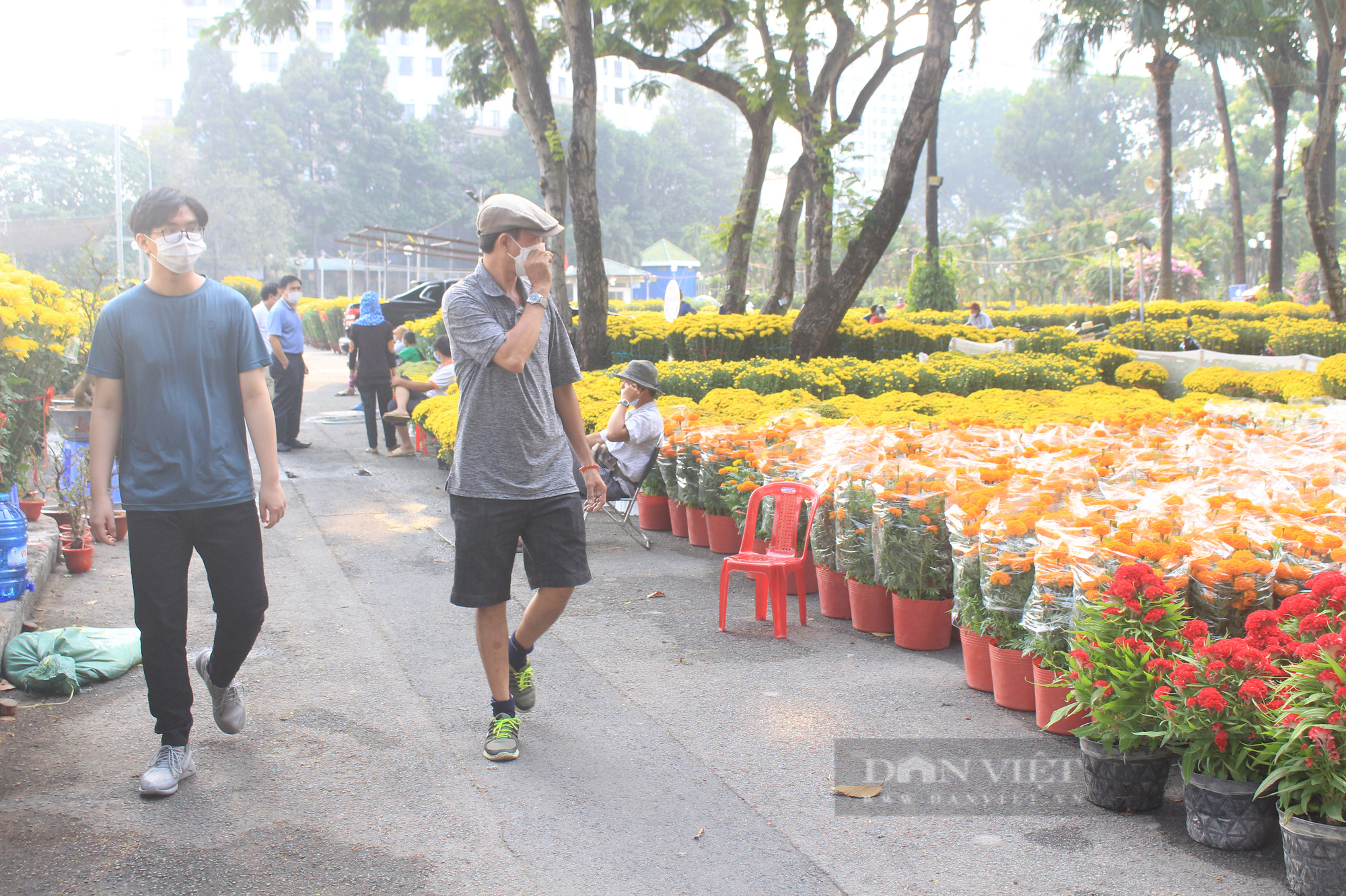 Hoa đào đổ bộ TP.HCM, nhà vườn mong “cháy hàng” như năm ngoái - Ảnh 10.