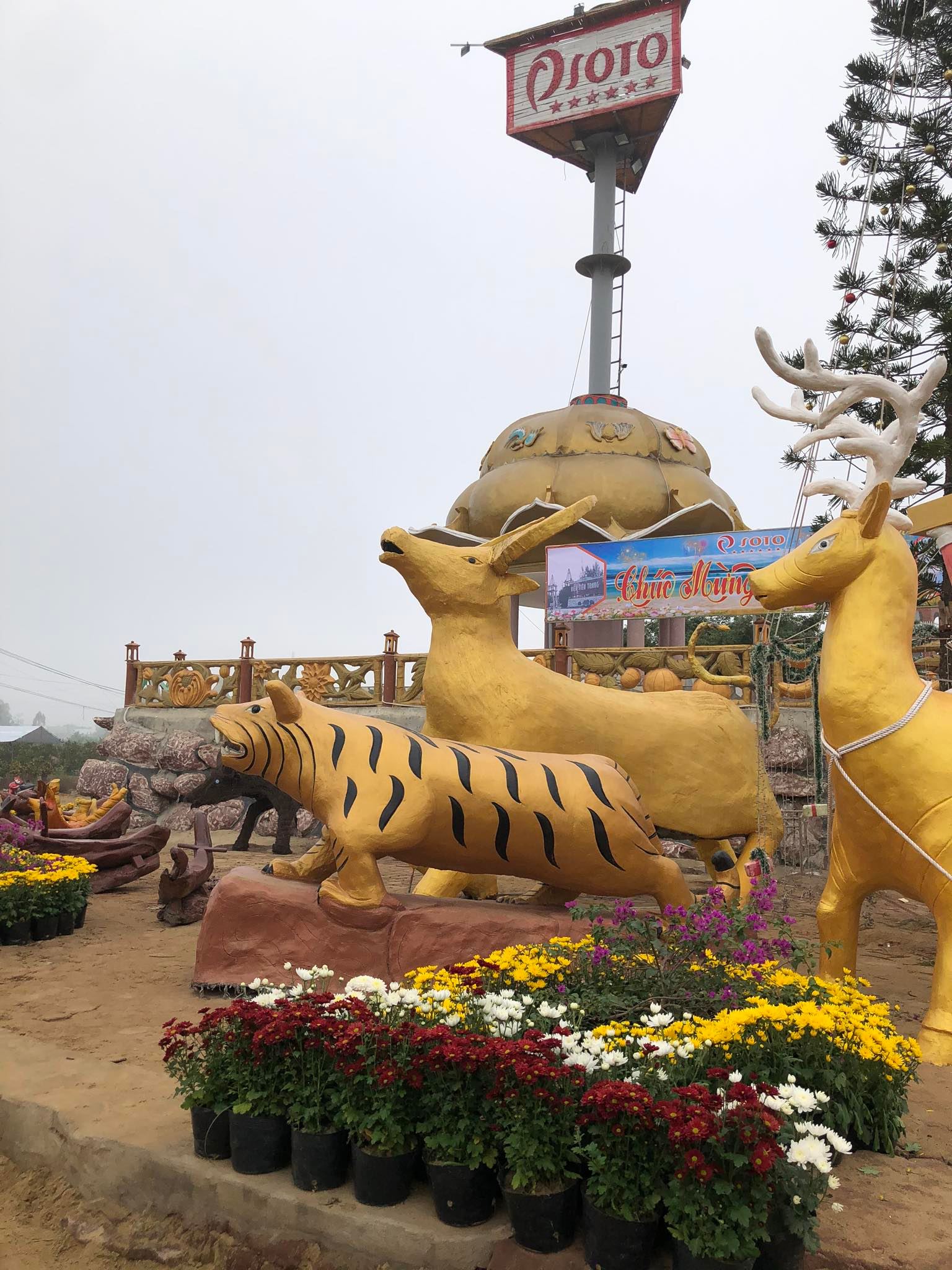 Hình ảnh linh vật hổ gây xôn xao mạng xã hội tại Thanh Hóa dịp gần Tết - Ảnh 3.