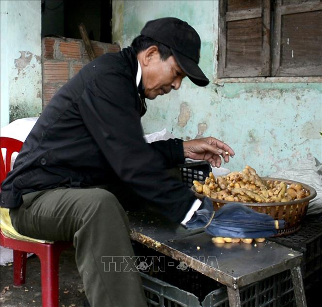 Mứt gừng Mỹ Chánh - Ảnh 1.