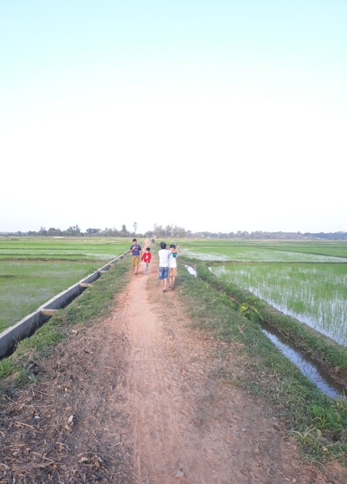 Kể chuyện làng: Nhớ lắm mùi Tết hương quê những ngày còn mạ - Ảnh 1.