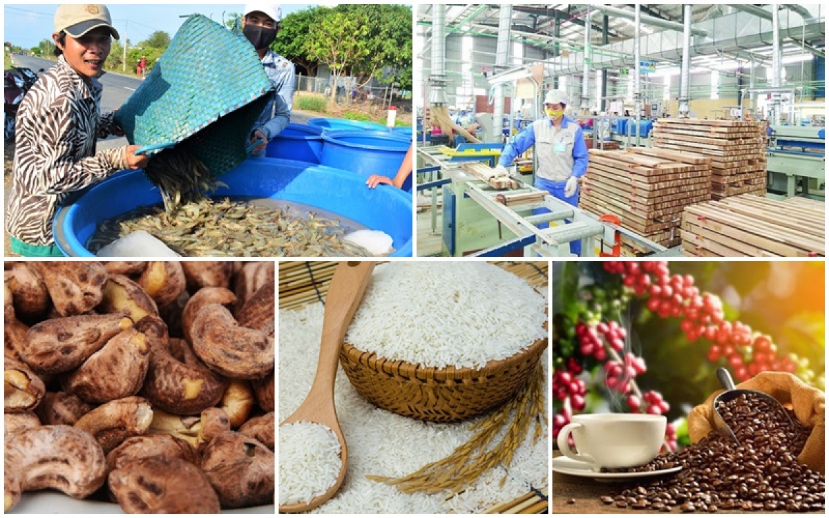 Thị trường này nhập khẩu hơn 160 tỷ USD các mặt hàng nông sản mỗi năm, Việt Nam bỏ lỡ thì quá phí - Ảnh 1.