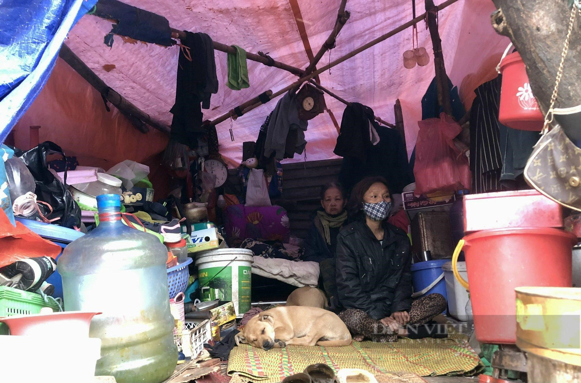 Căn lều của gia đình bà Lê Thị Bích là nơi trú ngụ của 3 người già. 