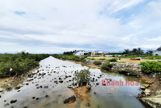 &quot;Sốt đất&quot; bất thình lình khiến dân ở nơi này thi nhau bán ruộng, phân lô ngay trên cánh đồng như đúng rồi - Ảnh 4.