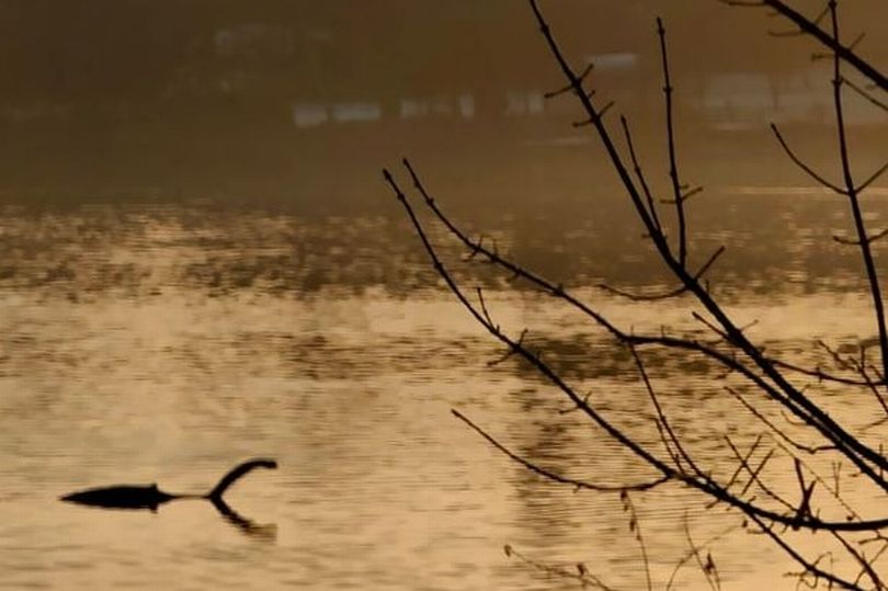 Phát hiện 'quái vật hồ Loch Ness' tại London khiến nhiều người kinh ngạc - Ảnh 1.
