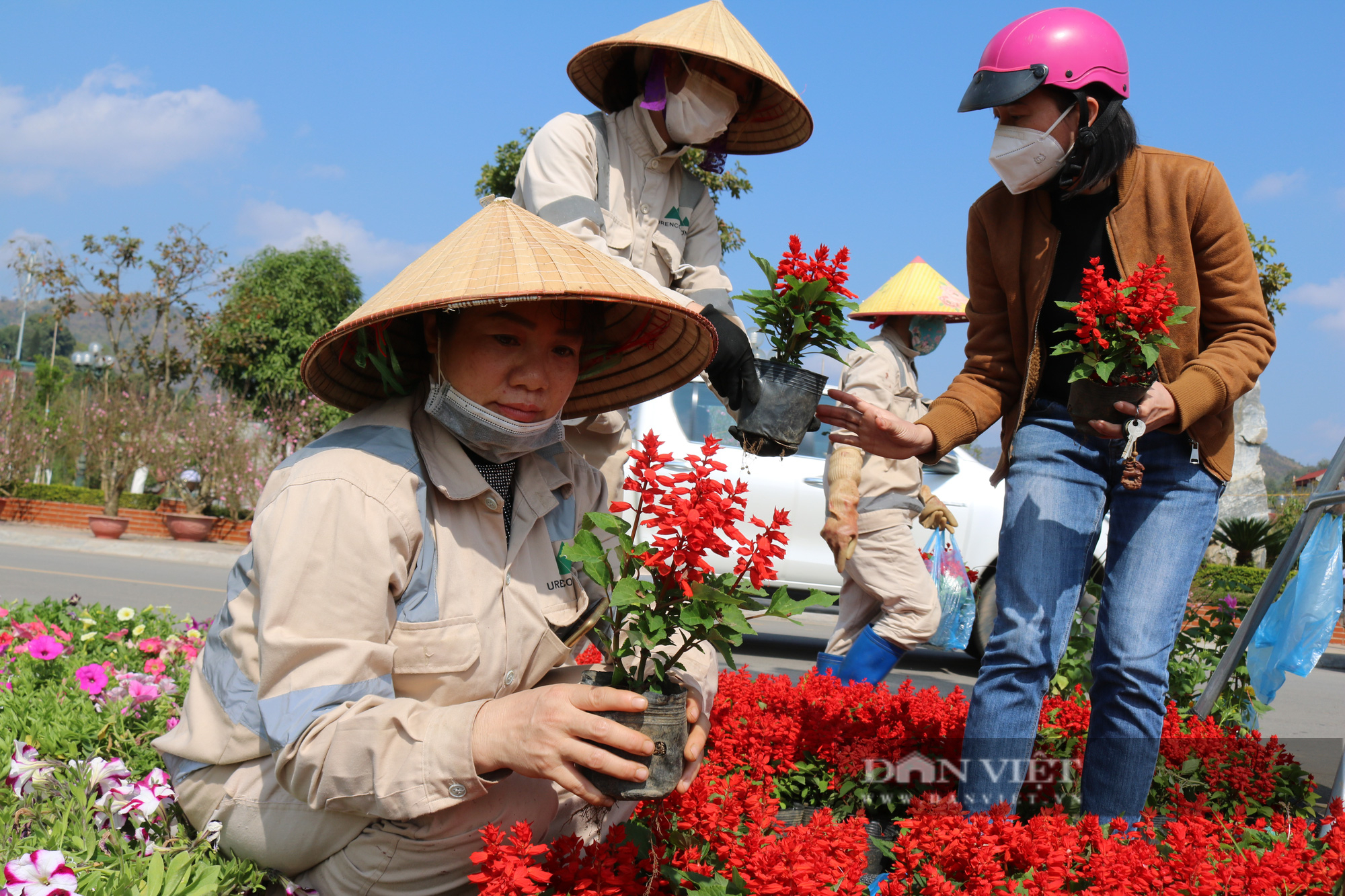 Rực rỡ sắc màu chợ hoa xuân giữa lòng thành phố Sơn La - Ảnh 9.