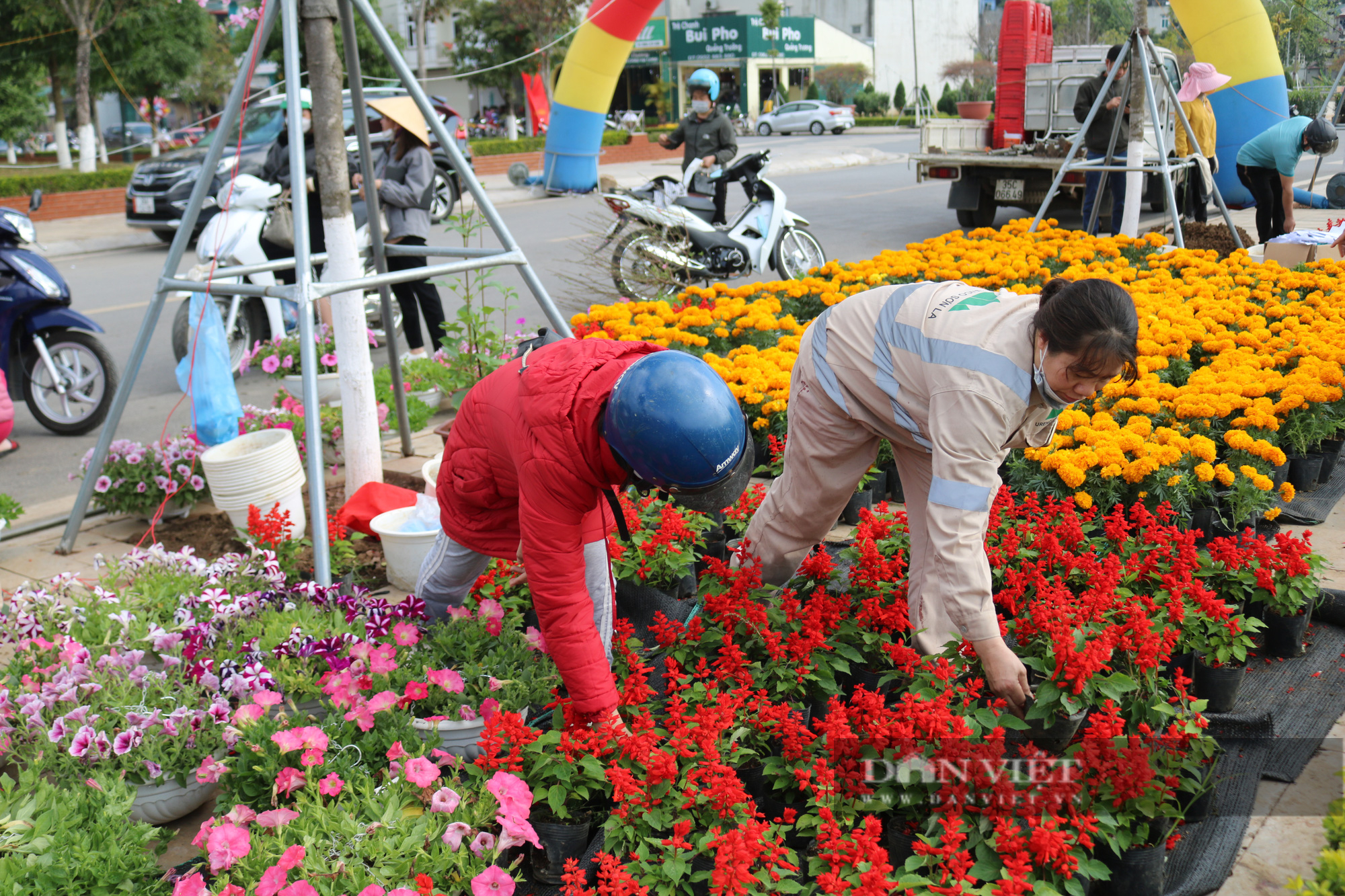 Rực rỡ sắc màu chợ hoa xuân giữa lòng thành phố Sơn La - Ảnh 8.