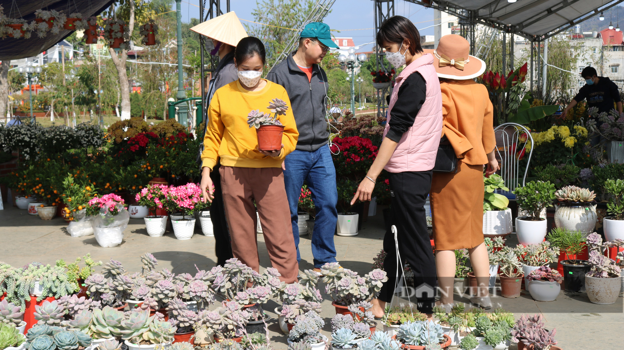 Rực rỡ sắc màu chợ hoa xuân giữa lòng thành phố Sơn La - Ảnh 11.