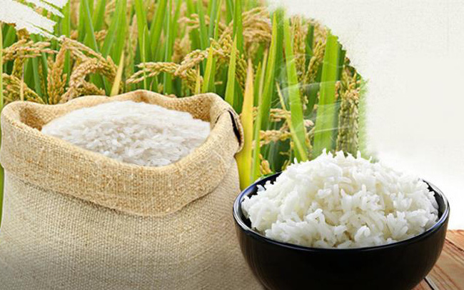 Việt Nam bất ngờ trong &quot;top 8&quot; các nhà nhập khẩu gạo của Ấn Độ - Ảnh 2.