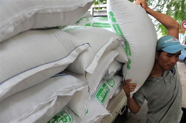 Là cường quốc xuất khẩu gạo, Việt Nam vẫn mua lượng gạo khổng lồ từ Campuchia, Ấn Độ để làm gì? - Ảnh 1.