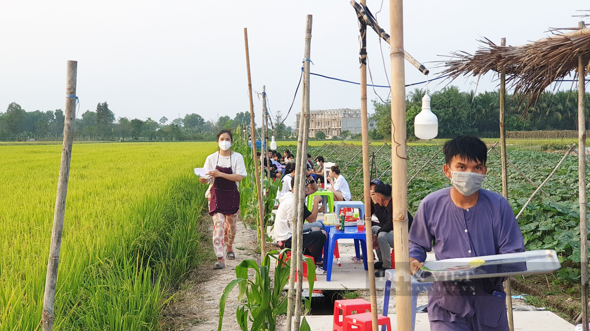 Quán ăn giữa ruộng ở Cần Thơ bất ngờ thu hút cả trăm người dân đến ăn, chụp ảnh mỗi ngày - Ảnh 4.