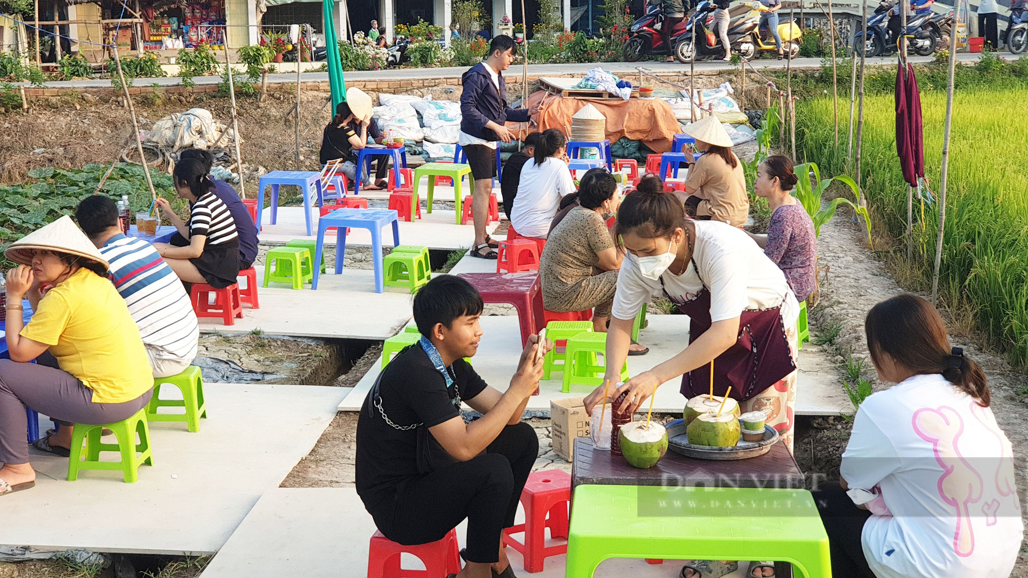 Quán ăn giữa ruộng ở Cần Thơ bất ngờ thu hút cả trăm người dân đến ăn, chụp ảnh mỗi ngày - Ảnh 1.