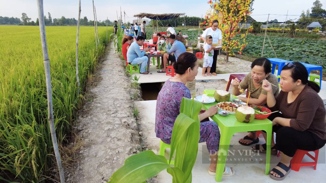 Quán ăn giữa ruộng ở Cần Thơ bất ngờ thu hút cả trăm người dân đến ăn, chụp ảnh mỗi ngày - Ảnh 5.