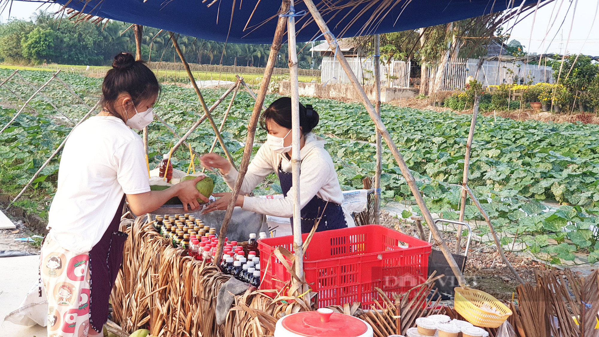Quán ăn giữa ruộng ở Cần Thơ bất ngờ thu hút cả trăm người dân đến ăn, chụp ảnh mỗi ngày - Ảnh 3.