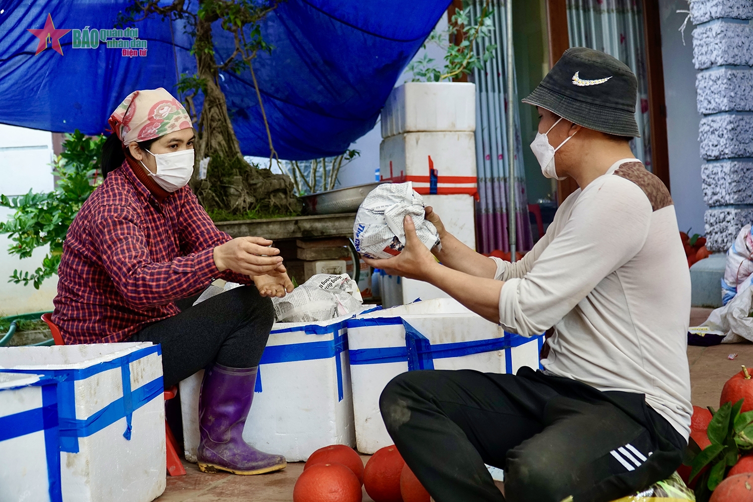 Làng trồng bưởi đỏ duy nhất tại Hà Nội - Ảnh 10.