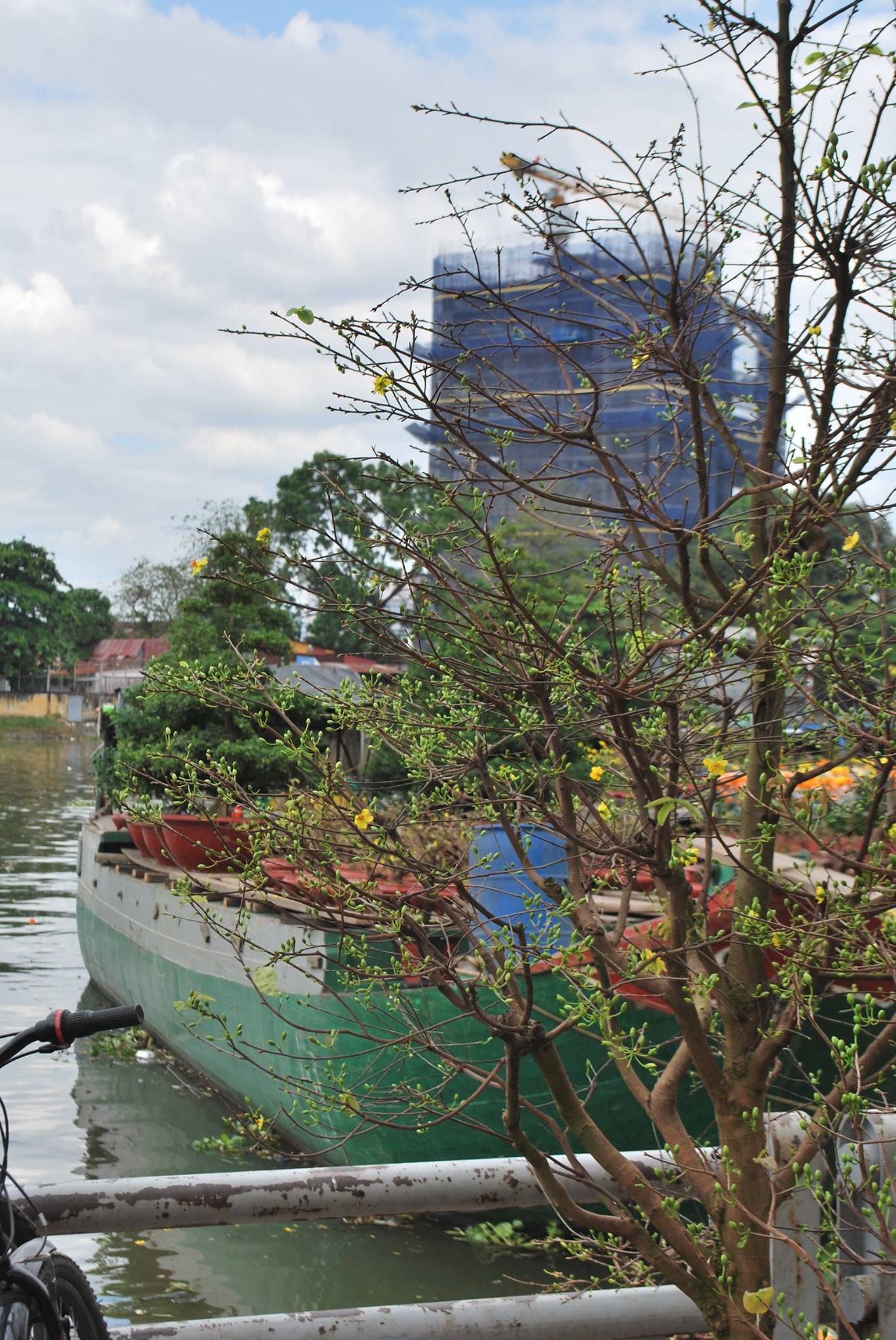 Chợ hoa xuân &quot;trên bến dưới thuyền&quot; - nét độc đáo của Tết Sài Gòn xưa và nay - Ảnh 2.