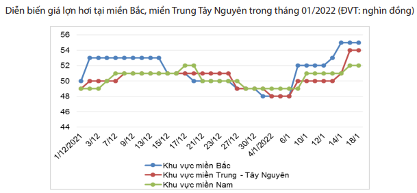 Tiêu thụ thịt lợn dịp Tết Nguyên đán chỉ có thể tăng 12%, nhưng giá vẫn đi lên - Ảnh 2.