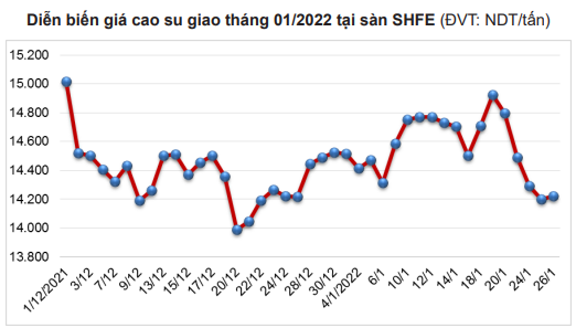 Thị trường biến động mạnh, điều gì sẽ xảy ra với giá cao su sau Tết? - Ảnh 3.