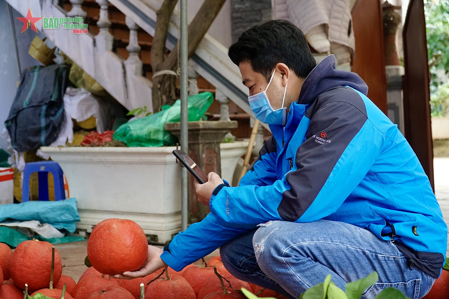 Làng trồng bưởi đỏ duy nhất tại Hà Nội - Ảnh 13.