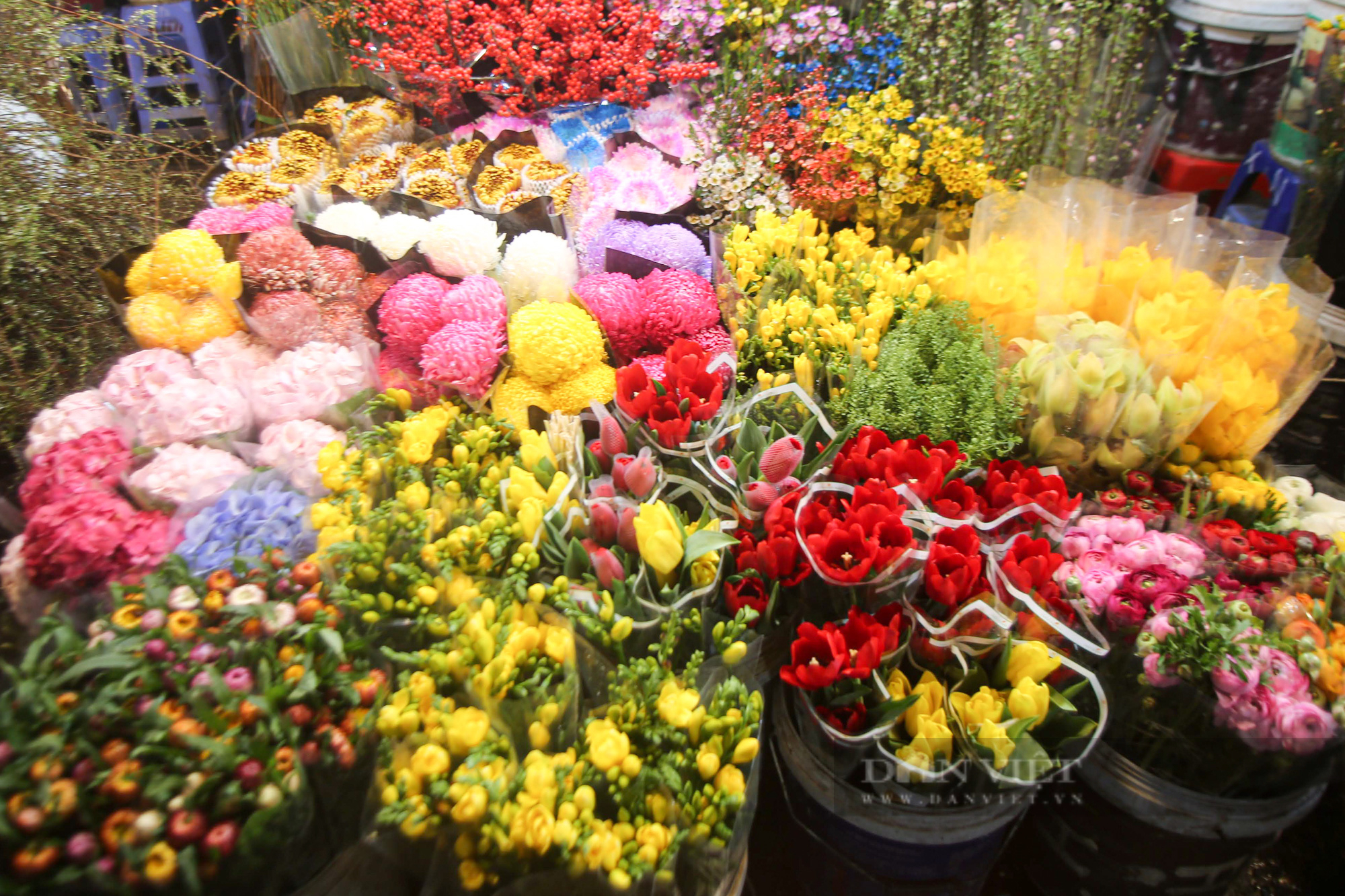 Chợ hoa đêm Quảng An nhộn nhịp những ngày giáp Tết Nhâm Dần 2022 - Ảnh 5.