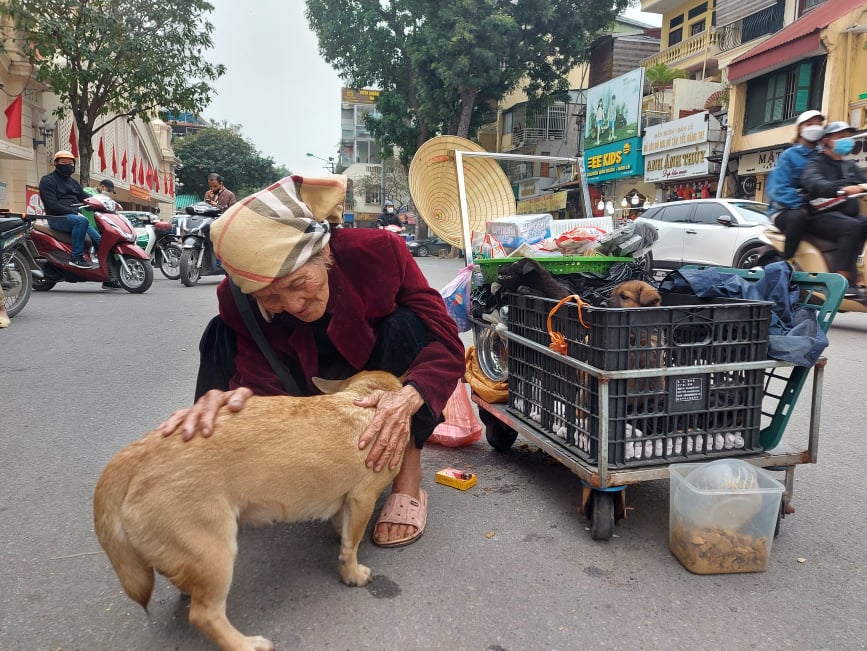 Chuyện về cụ bà 102 tuổi sống ở chân cầu Long Biên bán đàn chó trả tiền trọ ngày cuối năm - Ảnh 2.