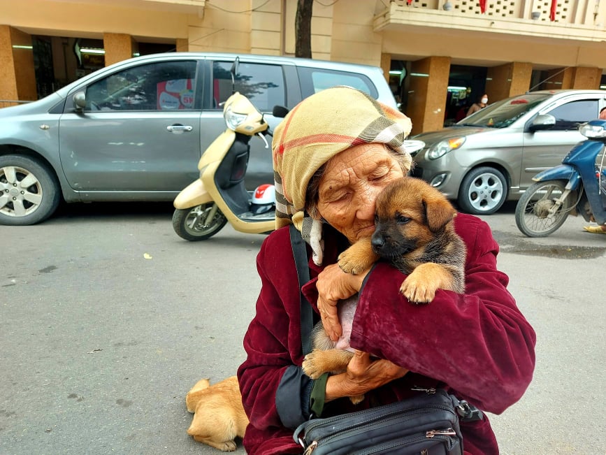 Chuyện về cụ bà 102 tuổi sống ở chân cầu Long Biên bán đàn chó trả tiền trọ ngày cuối năm - Ảnh 5.
