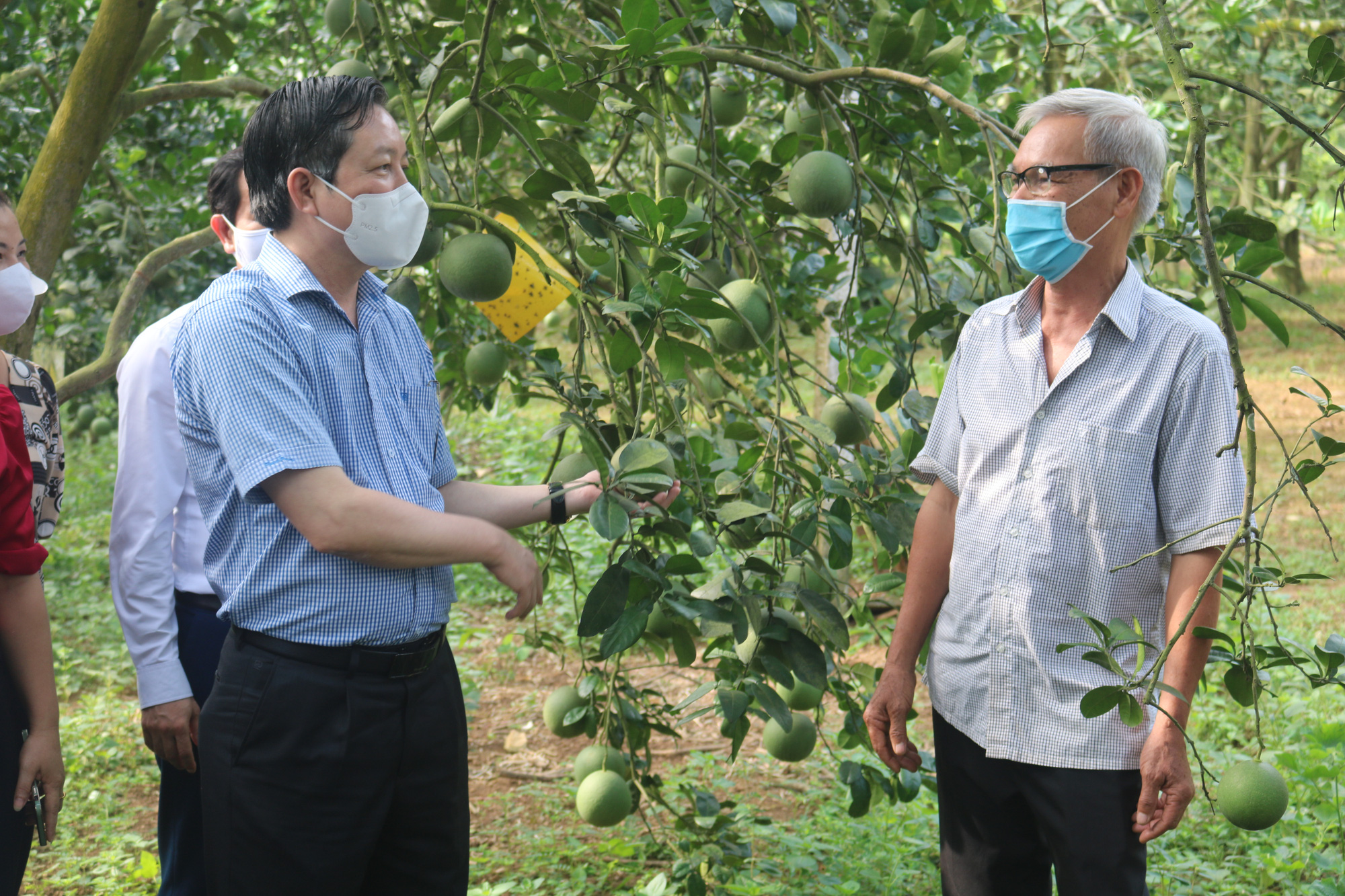 Chủ tịch Hội NDVN Lương Quốc Đoàn: Mỗi nông dân là một thương nhân ứng dụng công nghệ số- Ảnh 1.