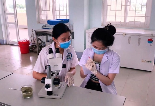 Xà phòng Lá Bàng của sinh viên Đại học Kiên Giang đoạt giải nhất thi khởi nghiệp - Ảnh 2.