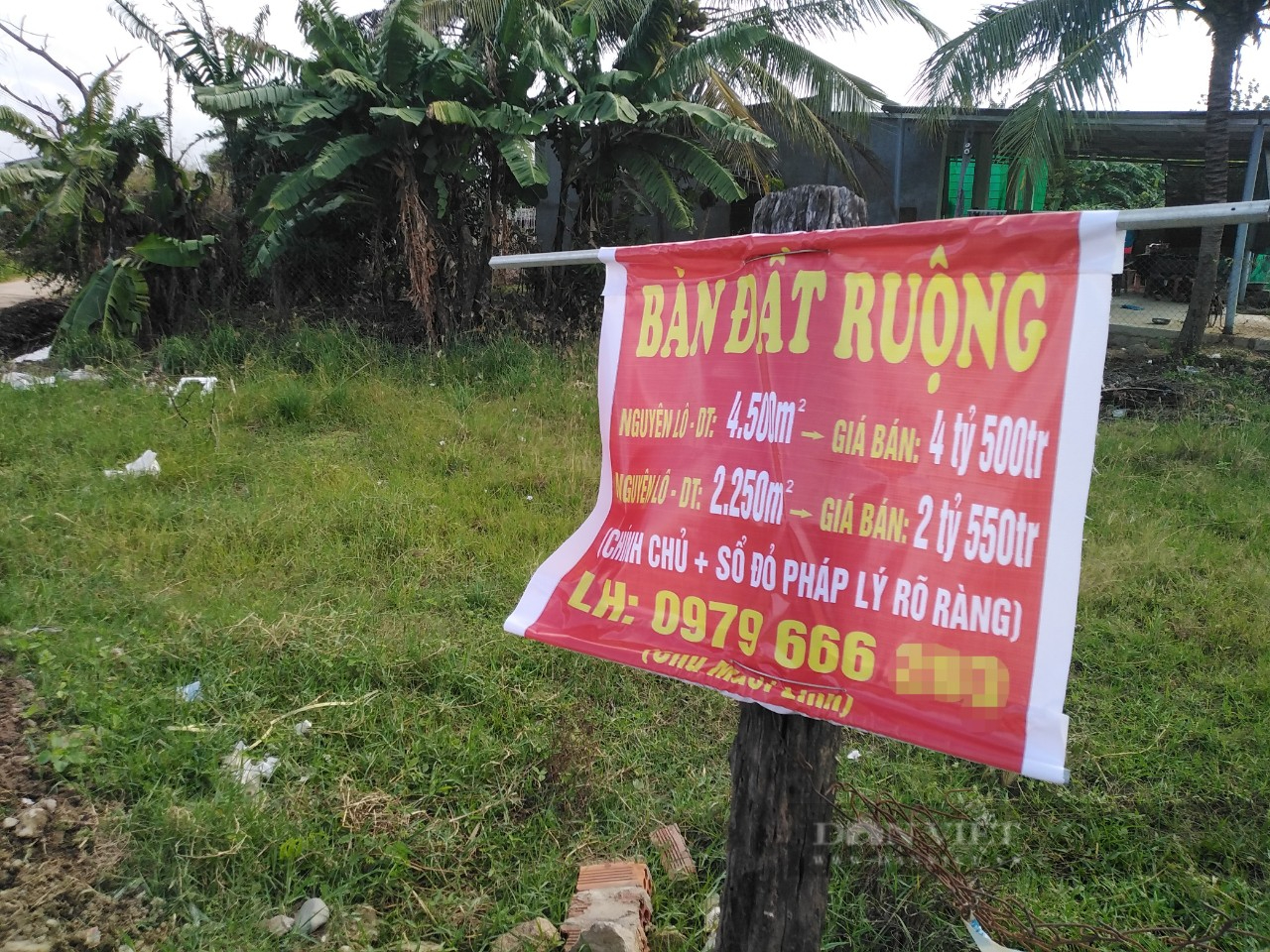 Đất nông nghiệp tăng giá chóng mặt tại Ninh Thuận - Ảnh 1.