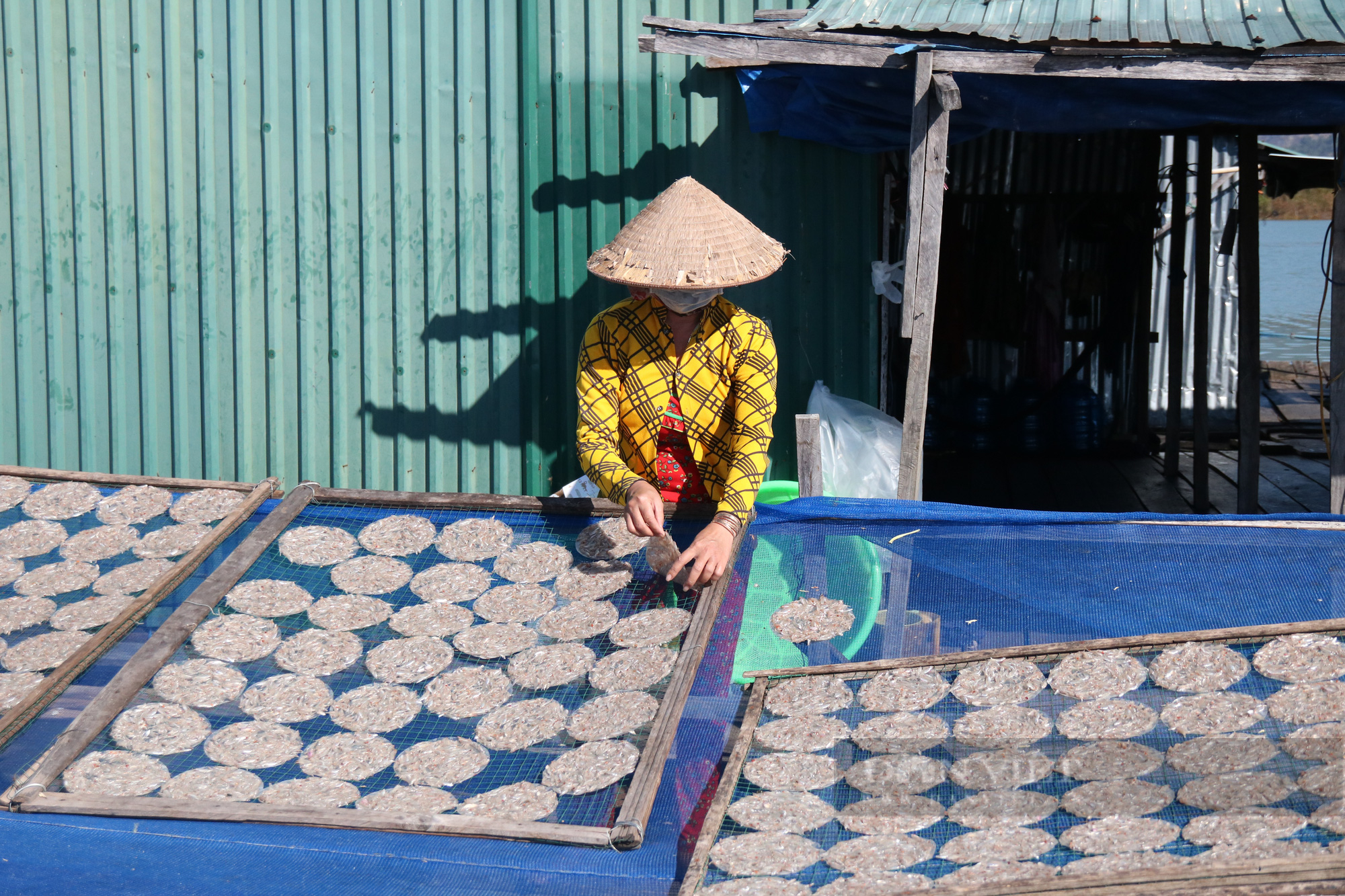 Kon Tum: Người dân làm giàu nhờ khai thác và đánh bắt cá trên lòng hồ thủy điện - Ảnh 6.