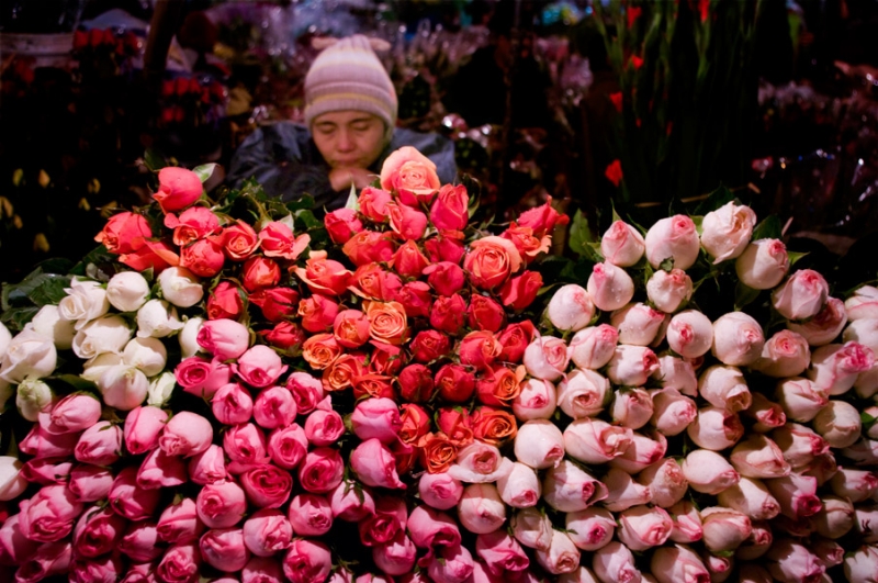 Điểm danh 9 chợ hoa Tết nổi tiếng nhất Hà Nội đón Xuân 2022 - Ảnh 5.