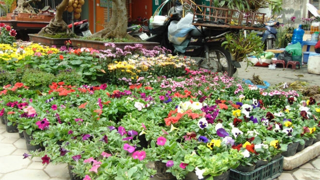 Điểm danh 9 chợ hoa Tết nổi tiếng nhất Hà Nội đón Xuân 2022 - Ảnh 3.