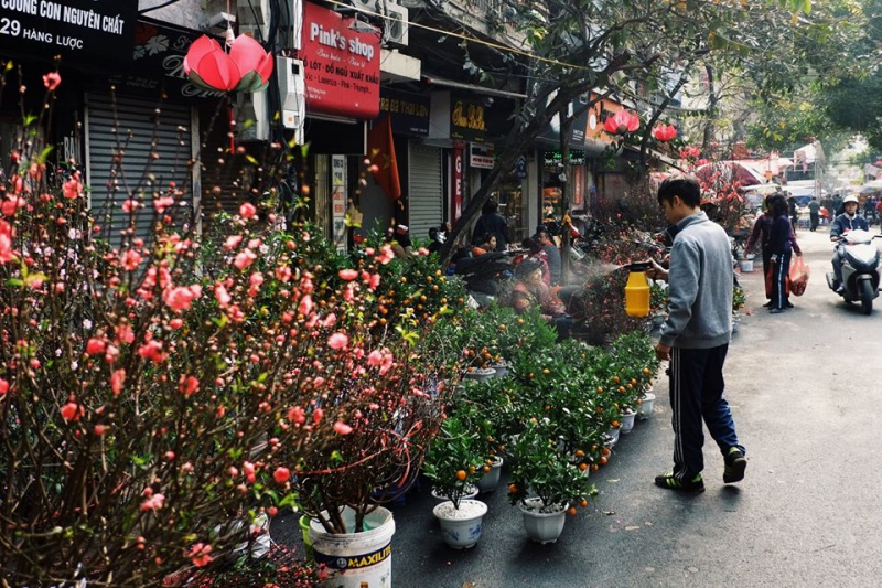 Điểm danh 9 chợ hoa Tết nổi tiếng nhất Hà Nội đón Xuân 2022 - Ảnh 2.