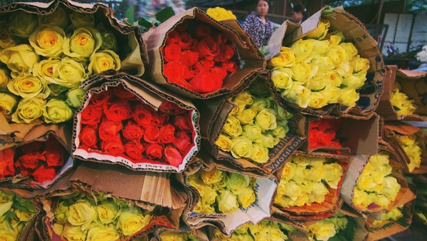 Điểm danh 9 chợ hoa Tết nổi tiếng nhất Hà Nội đón Xuân 2022 - Ảnh 13.