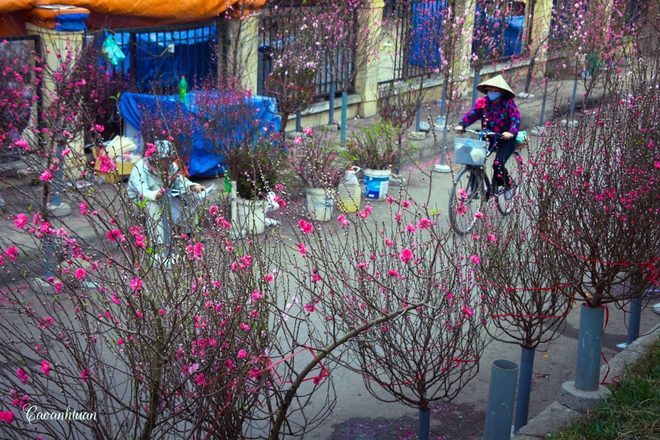 Điểm danh 9 chợ hoa Tết nổi tiếng nhất Hà Nội đón Xuân 2022 - Ảnh 7.