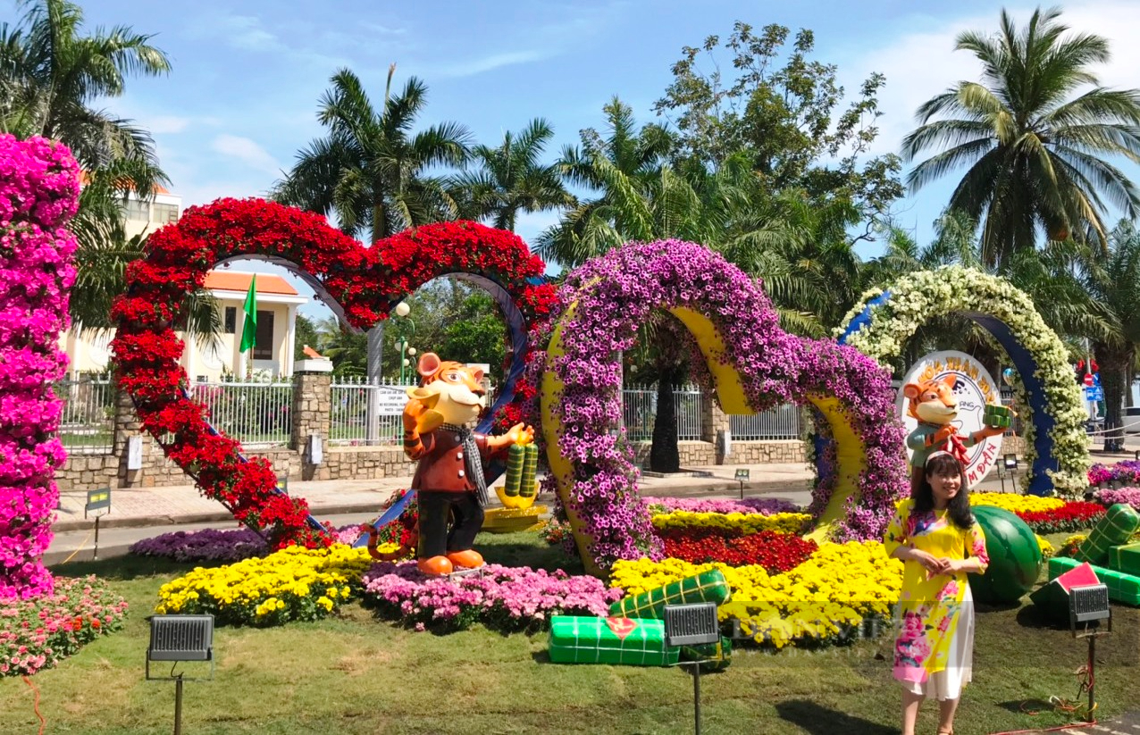 Nha Trang: Vườn bầu, bí, cà tím trĩu quả &quot;lạ mắt&quot; cuốn hút du khách - Ảnh 4.