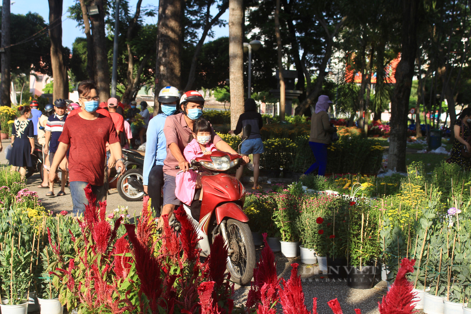 Người Sài Gòn đổ xô mua hoa sáng 29 Tết, đào giảm còn 400.000 đồng/cây vẫn ế - Ảnh 2.