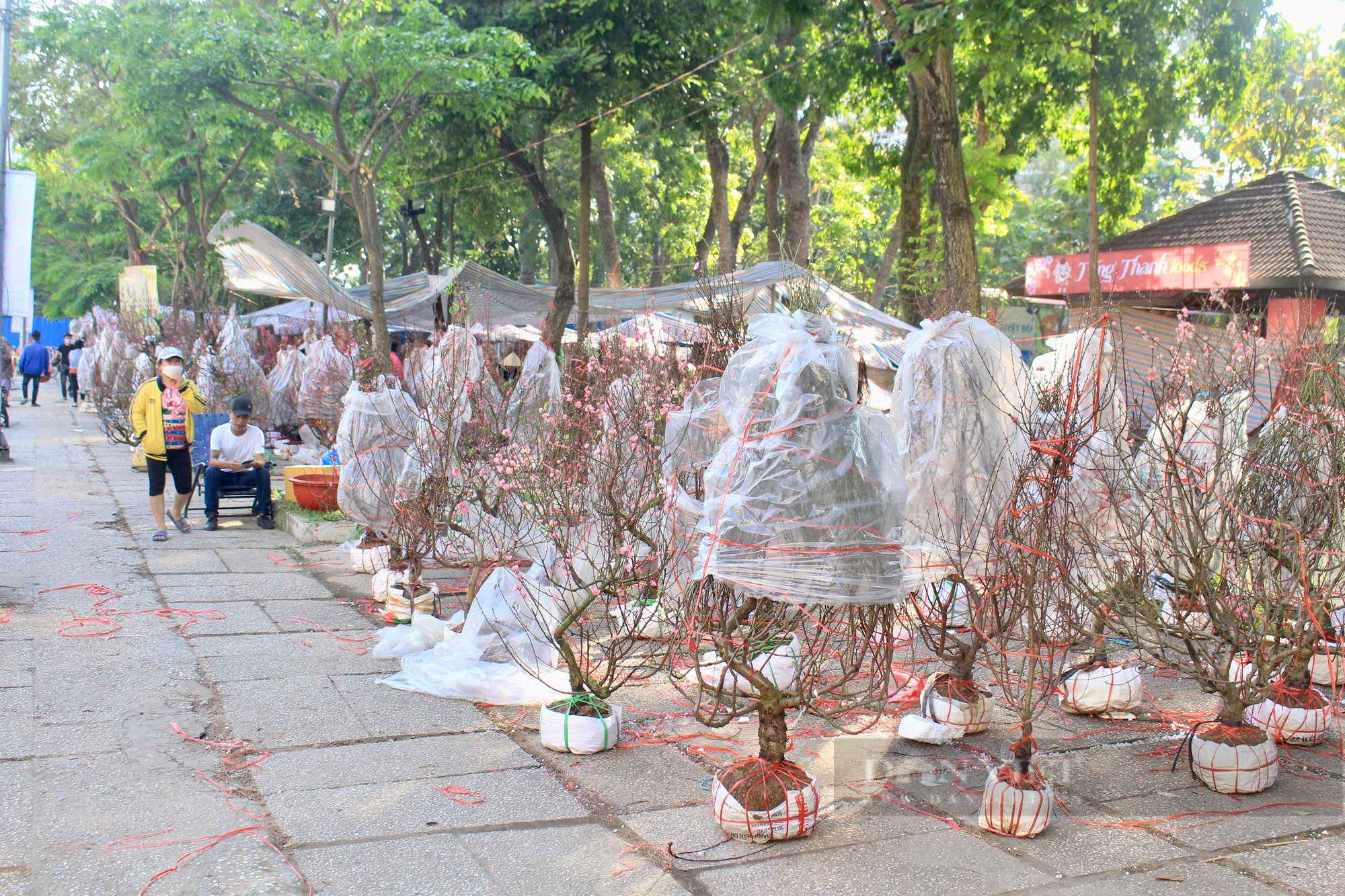 Người Sài Gòn đổ xô mua hoa sáng 29 Tết, đào giảm còn 400.000 đồng/cây vẫn ế - Ảnh 10.
