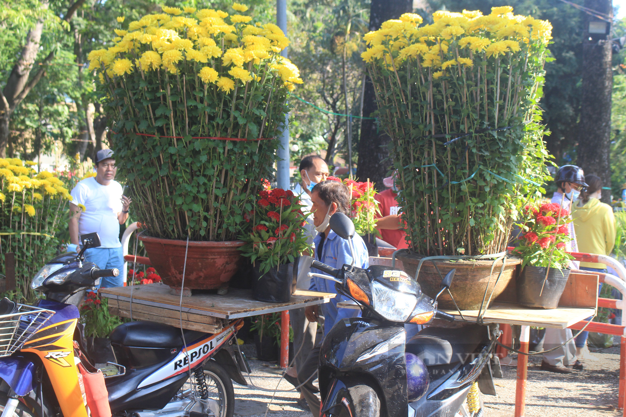 Người Sài Gòn đổ xô mua hoa sáng 29 Tết, đào giảm còn 400.000 đồng/cây vẫn ế - Ảnh 6.