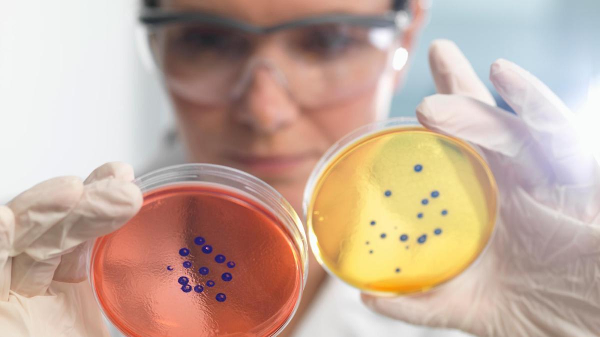 Nghiên cứu mới về &quot;siêu vi khuẩn&quot; có thể cứu 10 triệu mạng người mỗi năm - Ảnh 1.
