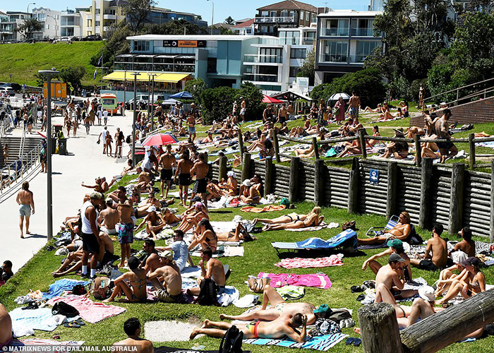 Australia chào năm mới 2022 với những “bất ngờ bãi biển” - Ảnh 6.