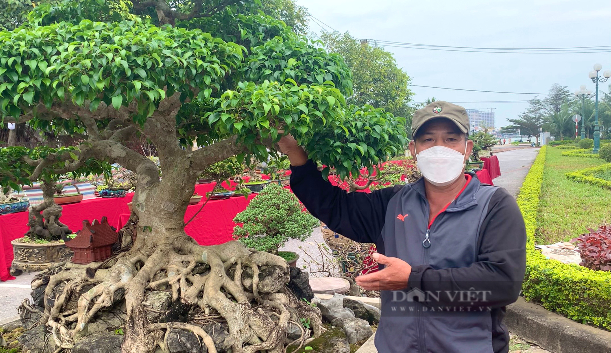 Sanh Nam Điền thế &quot;Dáng làng&quot;, &quot;Lão mai đồng quý tử&quot; có người trả giá ngang chiếc ô tô ông nông dân chưa bán - Ảnh 5.