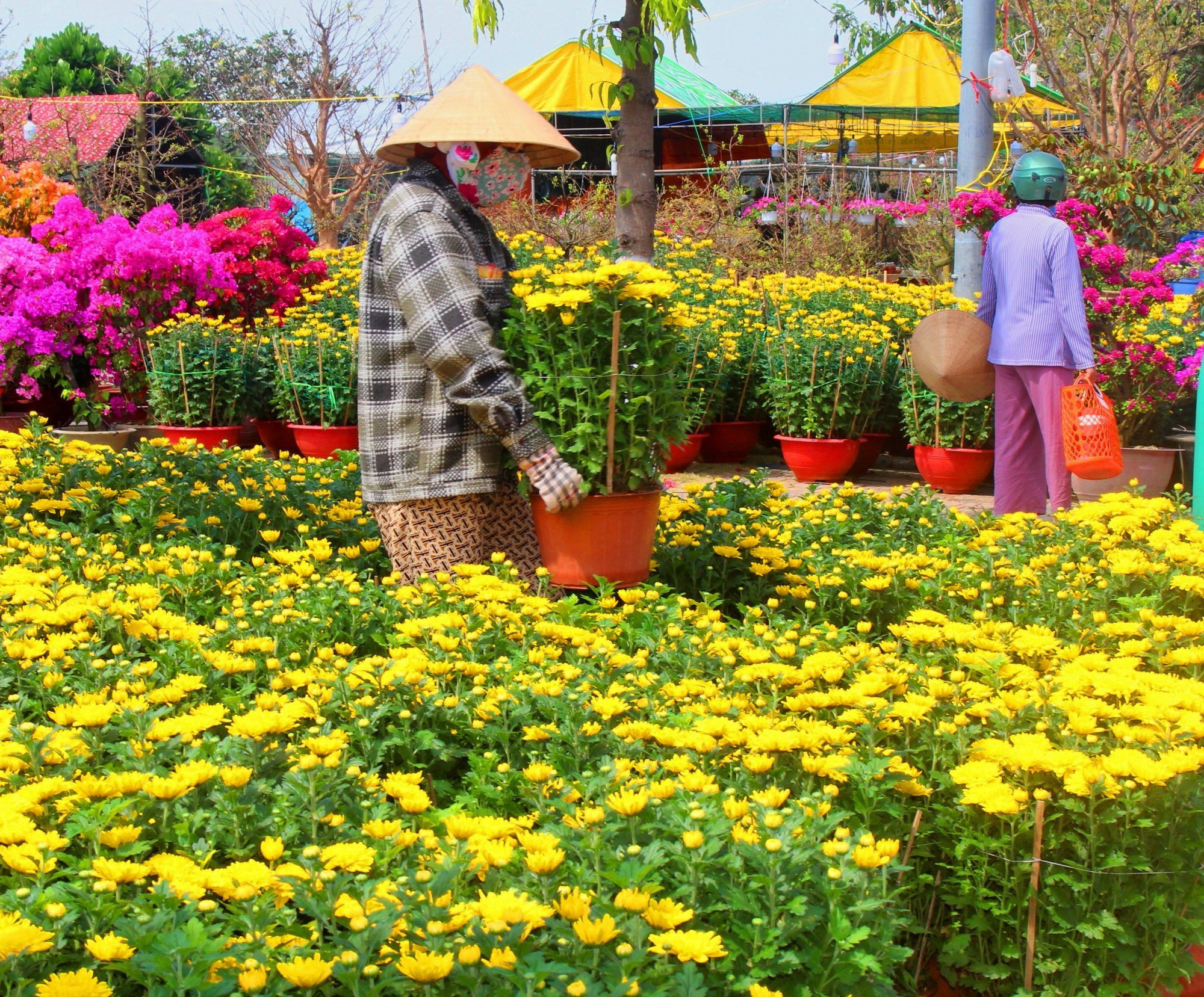 Hoa kiểng miền Tây được bán qua mạng, nông dân đỡ lo đầu ra - Ảnh 4.