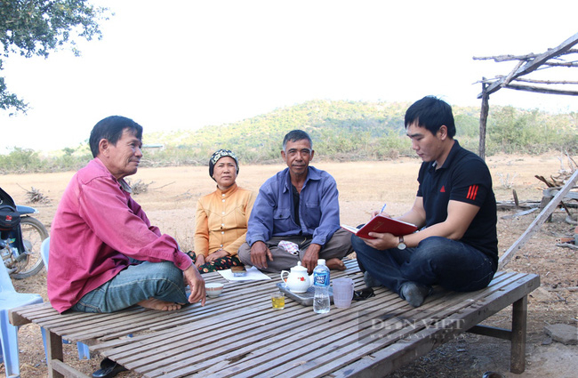 Ninh Thuận: Xử lý dự án chăn nuôi bò cao sản hơn 5 năm vẫn nằm trên giấy - Ảnh 3.