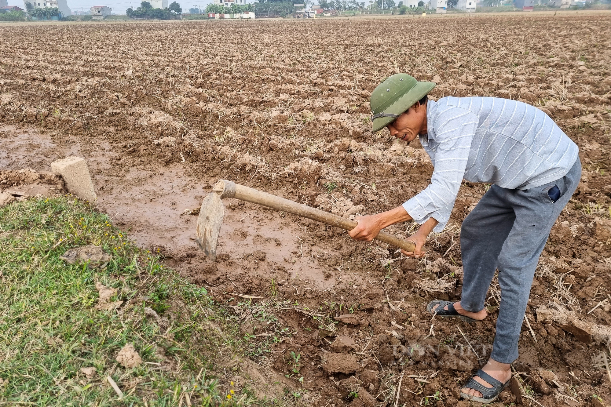 Trạm bơm công suất 36.500m3/h sẵn sàng cấp nước cho cả một huyện tại Hà Nội  - Ảnh 8.