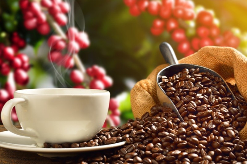 Dự báo &quot;nóng&quot; mới nhất về giá và xuất khẩu cà phê trong năm 2022 - Ảnh 1.