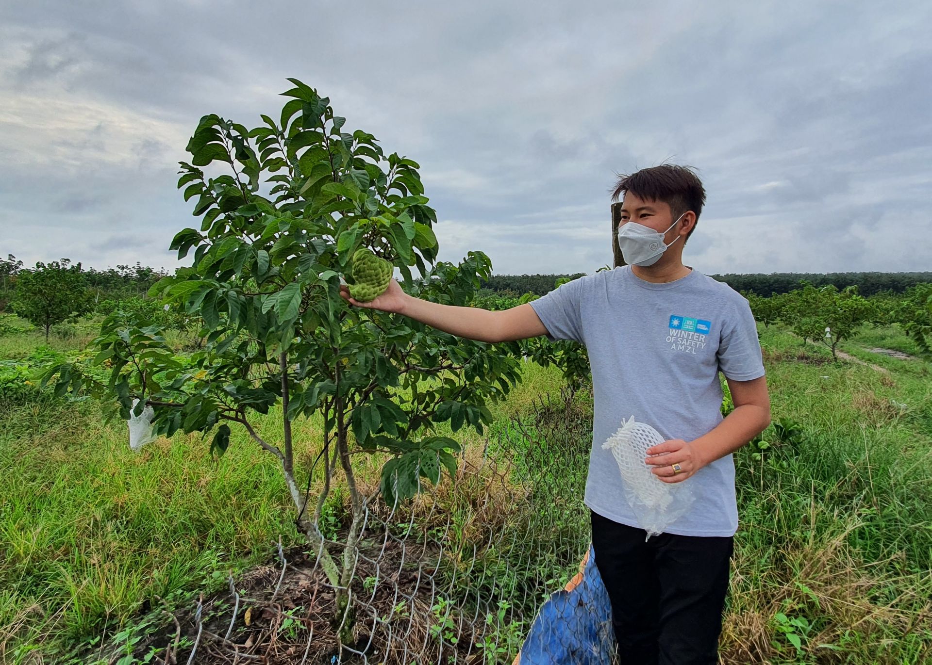 Tây Ninh: Trồng cây đặc sản ra trái khổng lồ khác thường, cứ hái 1 cây nông dân cầm ngay 2 triệu - Ảnh 4.
