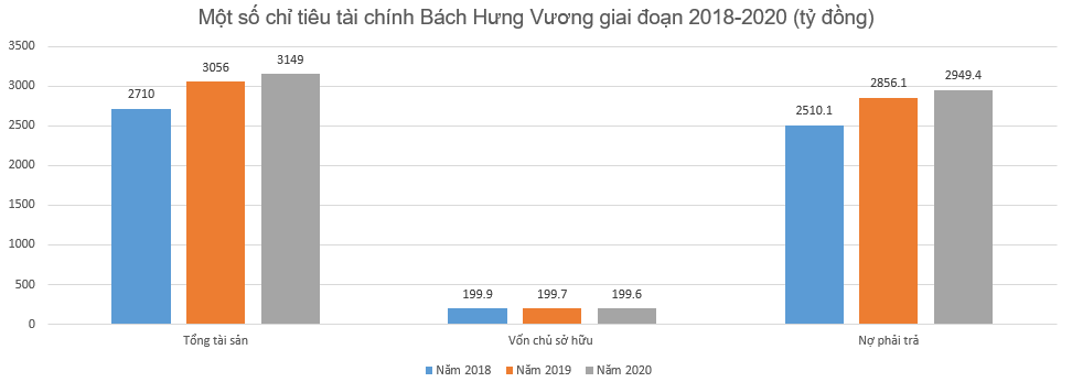 Bách Hưng Vương và Bông Sen Corp đang kinh doanh thế nào? - Ảnh 1.