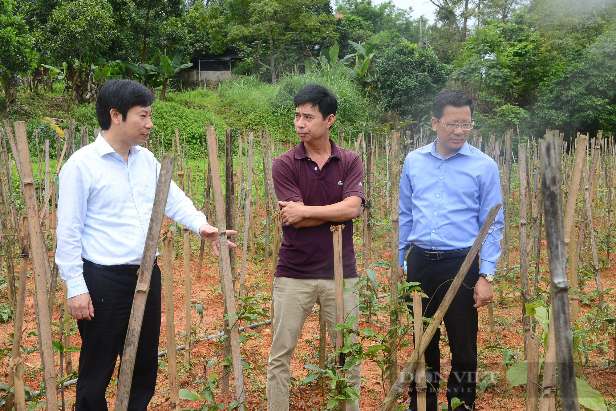 Người thay ông Lê Hùng Sơn giữ cương vị Chủ tịch huyện Cô Tô là ai? - Ảnh 3.